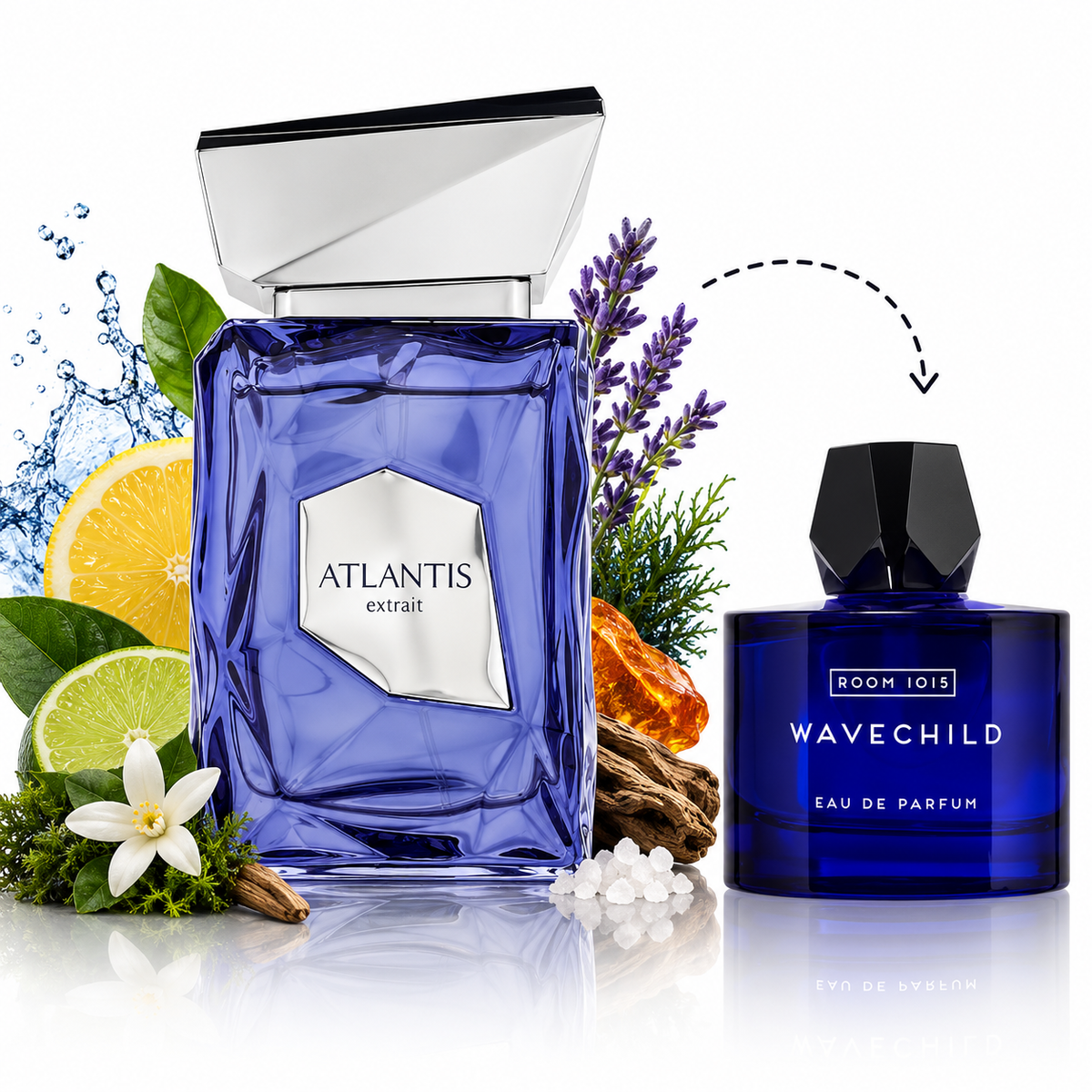 Atlantis Extrait de French Avenue